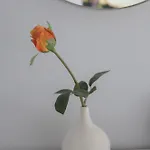 1-2bd *
